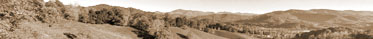 Pano Image