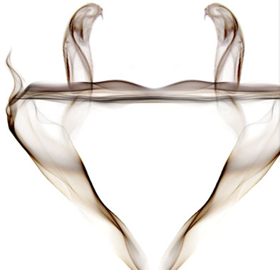 Codex Smoke Icon