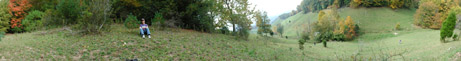Pano Image